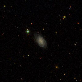 NGC 3019