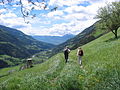 Hiking on the "Meraner Höhenweg" trail