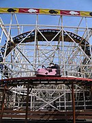 Wild Mouse