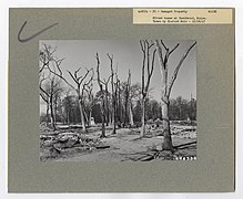 Damaged Properties - Maine - DPLA - ed2eae9d981c7f1d65e489b0b1cdc53d.jpg