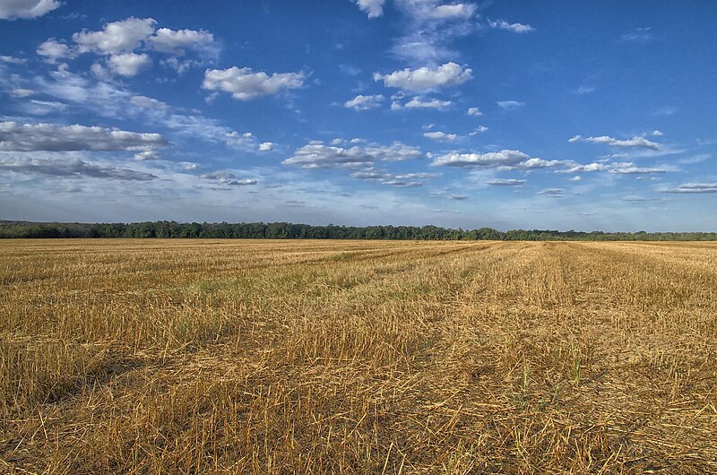 File:Gerais de Balsas (8190806640).jpg