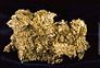 Gold nugget