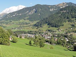 Gezicht op Praz-sur-Arly