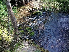 La rivière Ralja près du village de Ralja