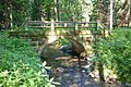 Teufelsbrücke im Lieblingstal