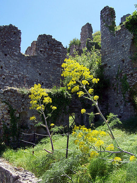 File:Mystras Palataki.JPG