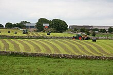 Roto-imballatura per insilamento in Irlanda.