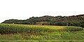 Image 42Loess Hills east of Mondamin (from Iowa)