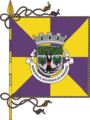 Bandeira de Reguengos de Monsaraz