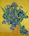 «Irises»(1890)