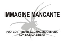 Immagine di Sobasina mancante