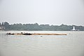 Bamboo transport in Serampore, 2017