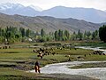 Në bregun jugor të liqenit Issyk-Kul, Rajoni Issyk-Kul – Kirgistan