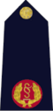 Rank insignia of Garda Assistant Commissioner