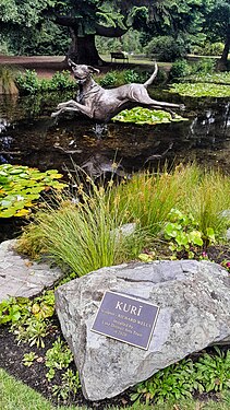 Kurī Sculpture by Richard Wells