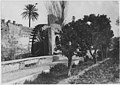 A noria (waterwheel) along the canal in the palace gardens (1916)