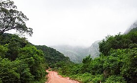 Département de Tarija