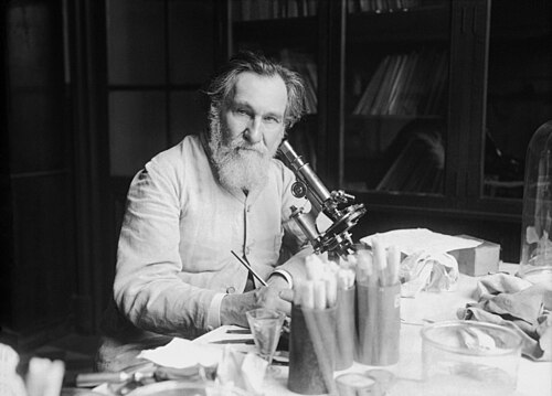 Ilya Ilyich Mechnikov/Élie Metchnikoff