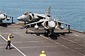 Royal Navy Sea Harrier FA2s av 801 Naval Air Skvadron på dekket av HMS «Illustrious» i Den persiske gulf