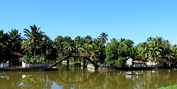 Unique foot bridges of Kuttanad , Aleppy District, Kerala.jpg