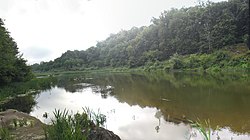 Khoper River, Balashovsky District