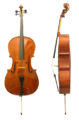 Violoncello