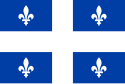 Vlag