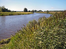 Het Reitdiep bij Dorkwerd, in noordelijke richting