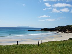 Tāwharanui Regional Park at low tide