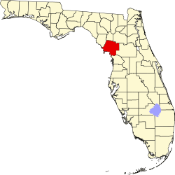 Karte von Levy County innerhalb von Florida