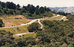 Skyline of Orinda