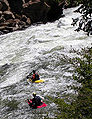 Kayaks op de Arkansas