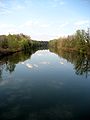 Die Mur bei Leibniz Mur River near Leibniz