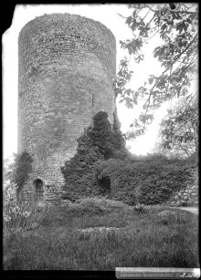 Vue partielle d'une tour en ruine du château et des arbres l'entourant se situant à Hermance, dans le canton de Genève en Suisse