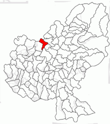 Location in Mureș County