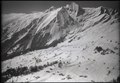 Tenna, Piz Riein, Saninagruppe. Historisches Luftbild von W. Friedli (Fotograf) (1949)