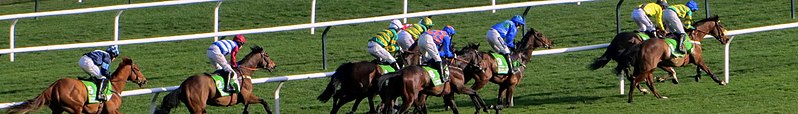 File:Horse Racing Banner.jpg