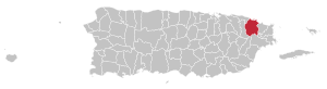 Map of Puerto Rico highlighting Río Grande Municipality