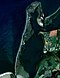 Satellitenbild der Insel Hiddensee