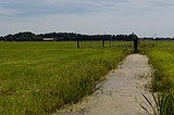 Zwischen Baambrugge und Wilnis, Graben