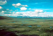 Zane Hills and Koyukuk River.jpg