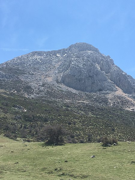 File:Monte en Sierra Mágina.jpg