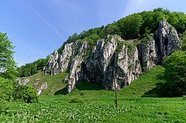 Parc national d'Ojców.