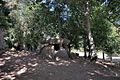 Dolmen de Axeitos.