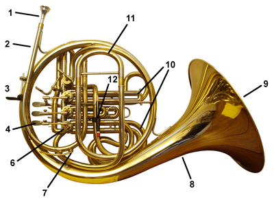 Cor d'harmonie moderne arrière.