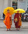 Child monks on morning alms round in Cambodia