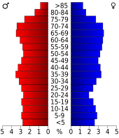 Bevolkingspiramide Collier County