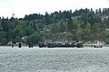 Vashon Ferry terminal