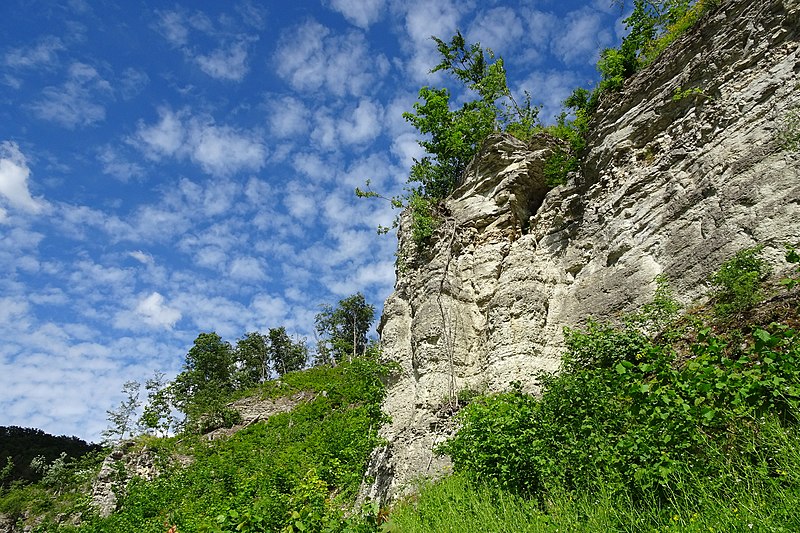 File:Muschelkalkfelsen im Naturschutzgebiet Probsteizella (2).jpg