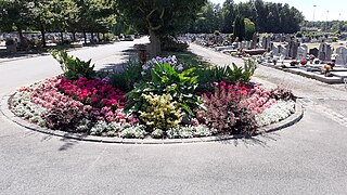 Massif de fleurs.